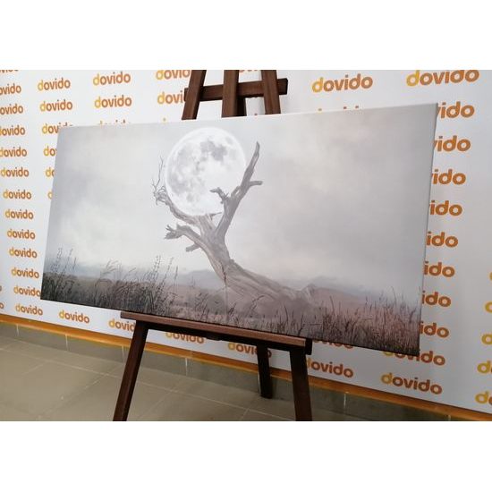 Obraz magický mesiac v objatí prírody