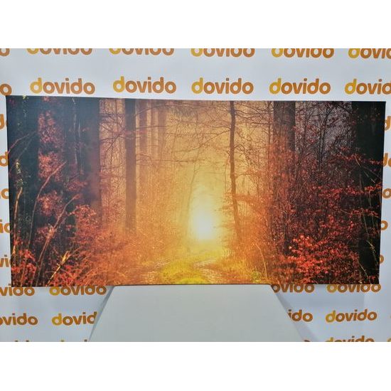 Obraz svetlo na konci cesty