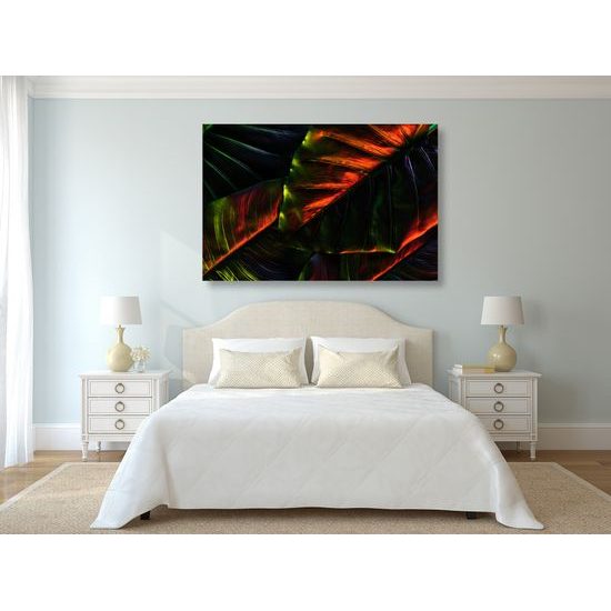 Obraz nádherné palmové listy