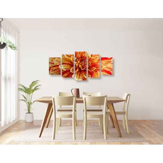 5-dielny obraz kvety nežnej dálie na drevenom pozadí