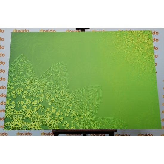 Obraz prírodná Mandala