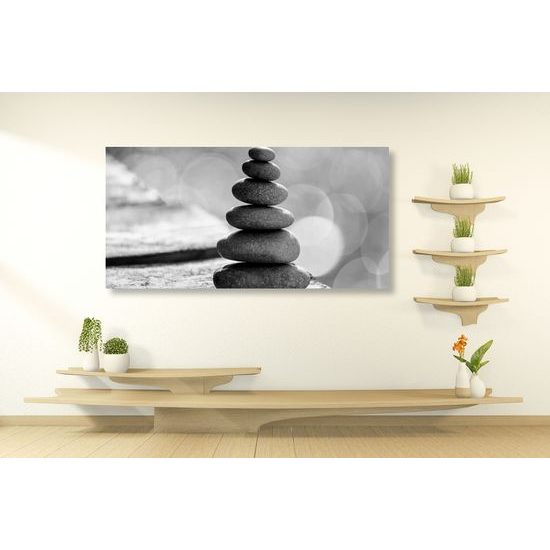 Obraz príroda v rovnováhe v čiernobielom prevedení