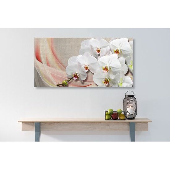 Obraz krása bielej orchidey na plátne