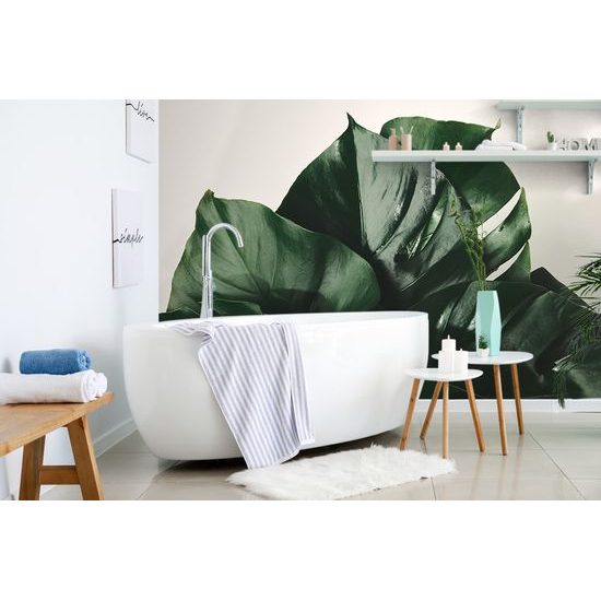 Fototapeta lesklé listy monstery