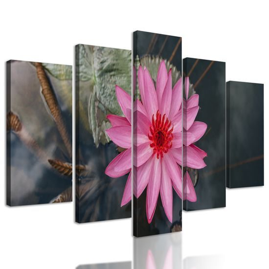 5-dielny obraz nádherný lotosový kvet