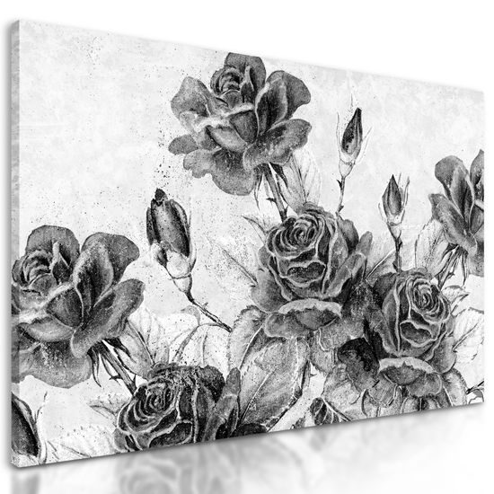 Obraz divé ruže v čiernobielom prevedení