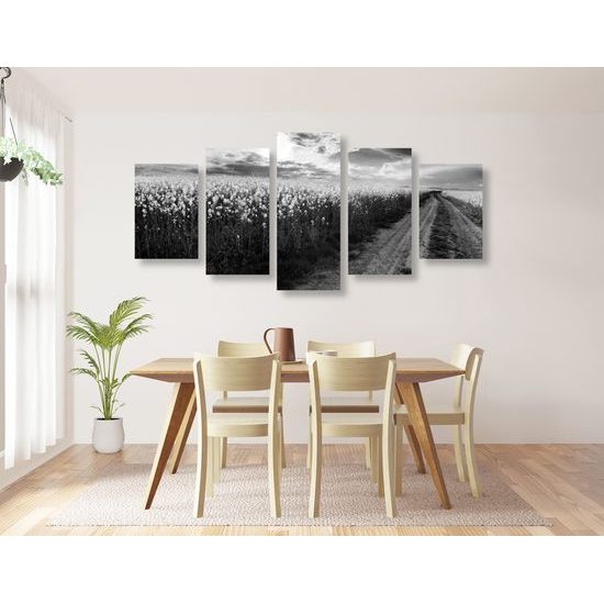 5-dielny obraz nádherná cestička v strede poľa v čiernobielom prevedení