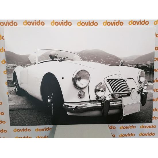 Obraz klasický veterán v čiernobielom prevedení