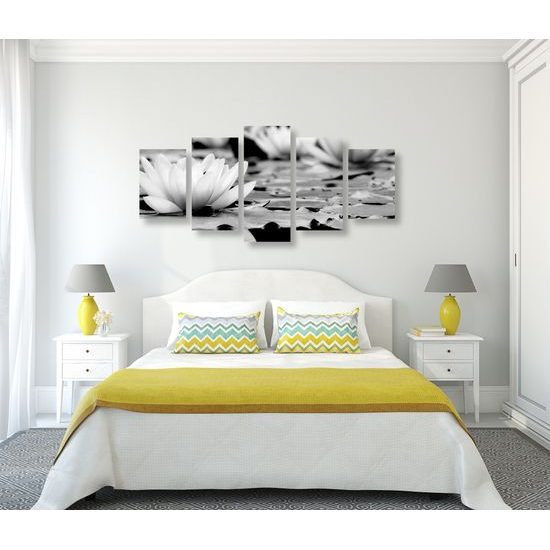 5-dielny obraz nádherné lekno v čiernobielom prevedení