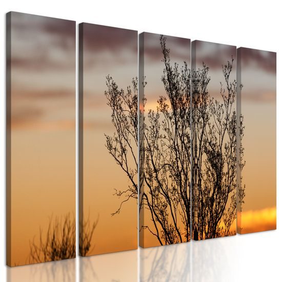 5-dielny obraz bylinky pri západe slnka