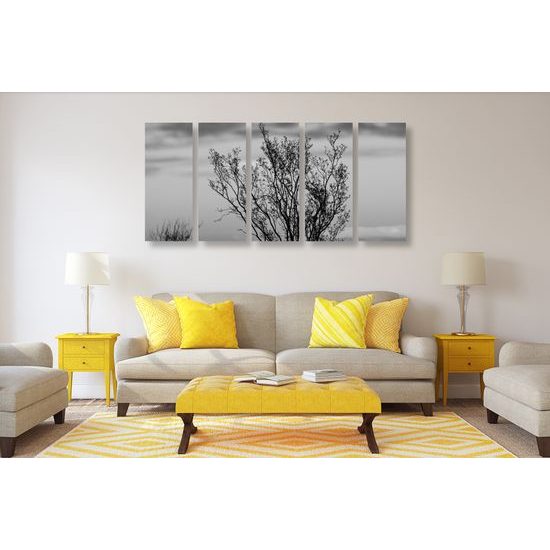 5-dielny obraz bylinky pri západe slnka v čiernobielom prevedení