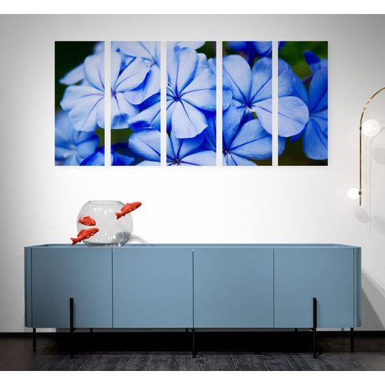 5-dielny obraz krásne nebesky modré kvety