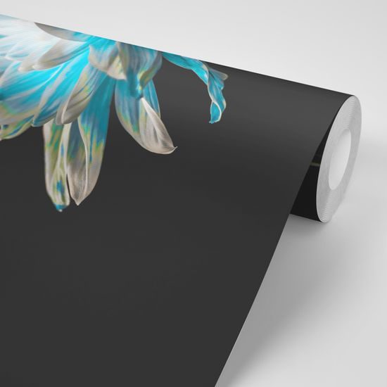 Samolepiaca tapeta nádherná sedmokráska na tmavom pozadí