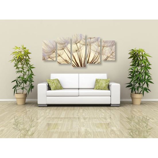 5-dielny obraz detail púpavy