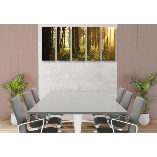 5-dielny obraz slnko predierajúce sa medzi korunami stromov