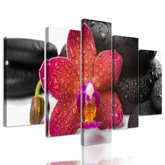 5-dielny obraz zen zátišie a orchidea