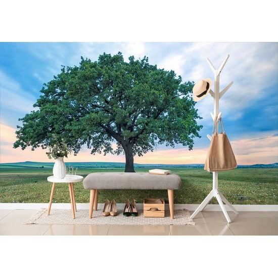 Originálna samolepiaca fototapeta mohutný dub