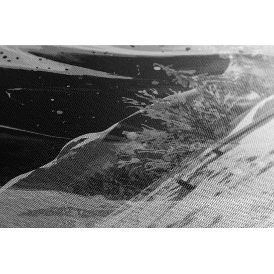 Obraz snehová víchrica v čiernobielom prevedení