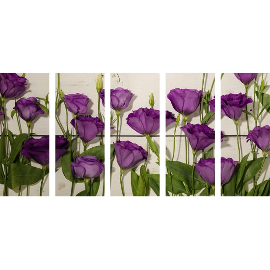 5-dielny obraz nádherné kvety s dreveným pozadím