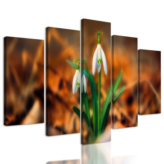 5-dielny obraz prvé snežienky
