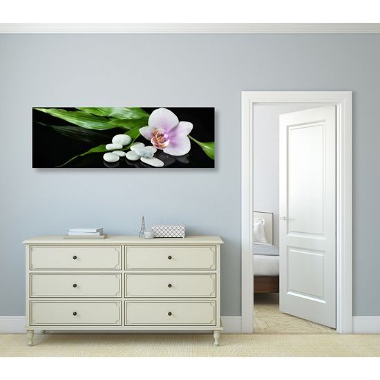 Obraz liečivá príroda