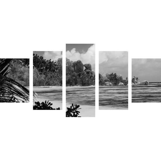 5-dielny obraz pohľad na tropický ostrov v čiernobielom prevedení