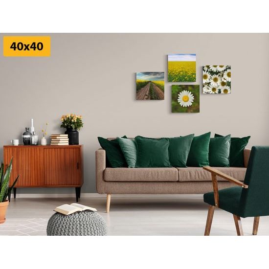 Set obrazov nežné semokrásky