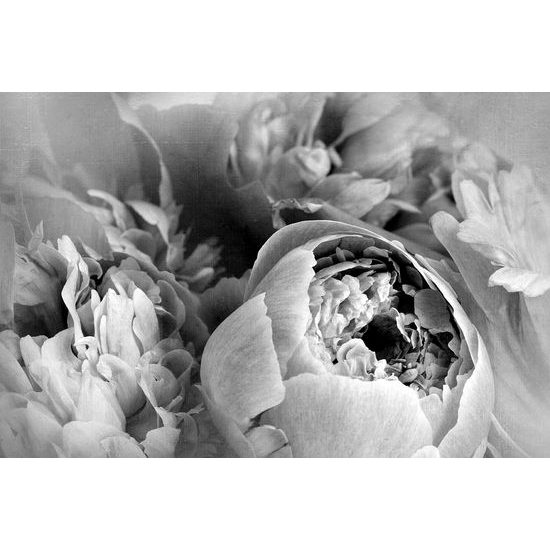 Samolepiaca tapeta čiernobiele čaro kvetov