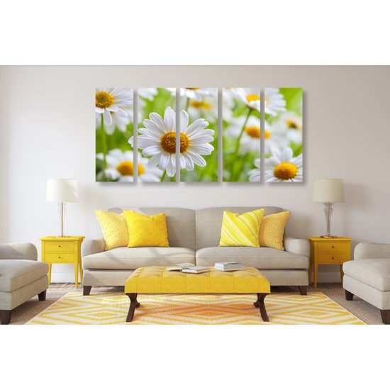 5-dielny obraz prekrásne sedmokrásky