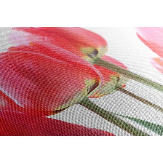 Obraz elegantné tulipány