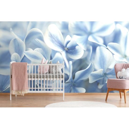 Originálna samolepiaca fototapeta belasé kvety hortenzie