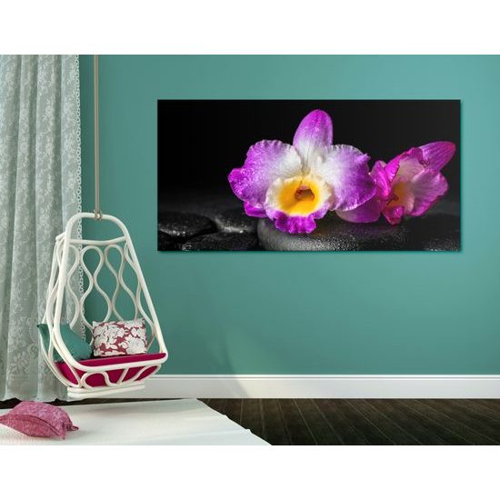 Obraz krásny kvet orchidei