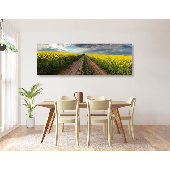 Obraz cesta v strede poľa