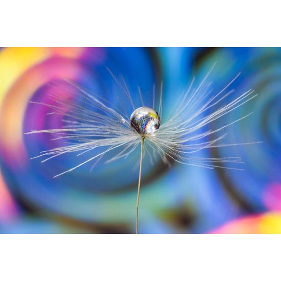 Obraz kvapka s nádherným pozadím