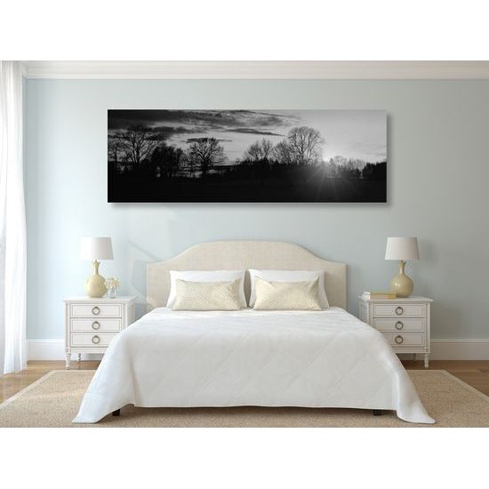 Obraz západ slnka nad malebnou krajinkou v čiernobielom prevedení