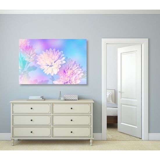 Obraz nádherné biele kvety chryzantény