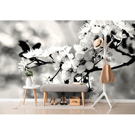 Samolepiaca fototapeta čiernobiele kvietky čerešne