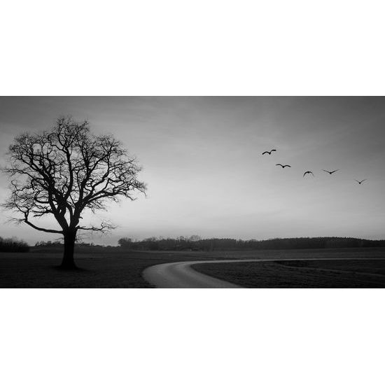 Obraz okúzľujúci západ slnka v čiernobielom prevedení