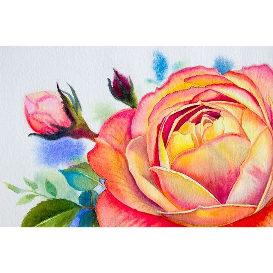 Tapeta krásna maľba ruže