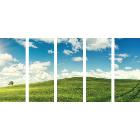 5-dielny obraz slnečný deň na lúke