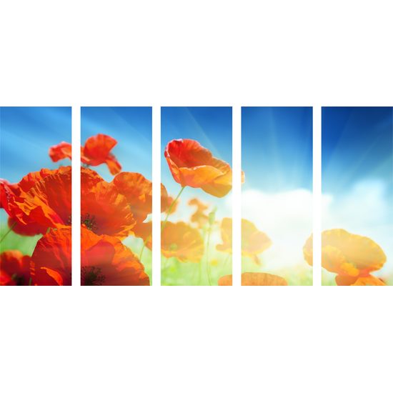 5-dielny obraz nádherné červené maky