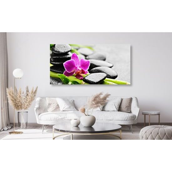 Obraz wellnes zátišie po daždi