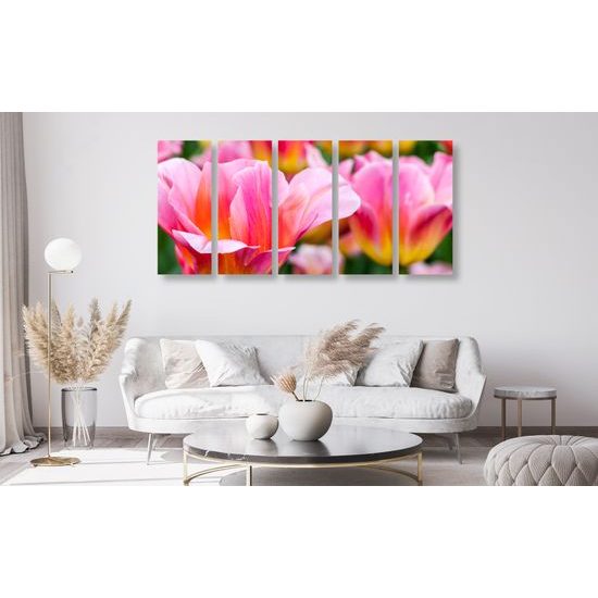 5-dielny obraz krása tulipánov