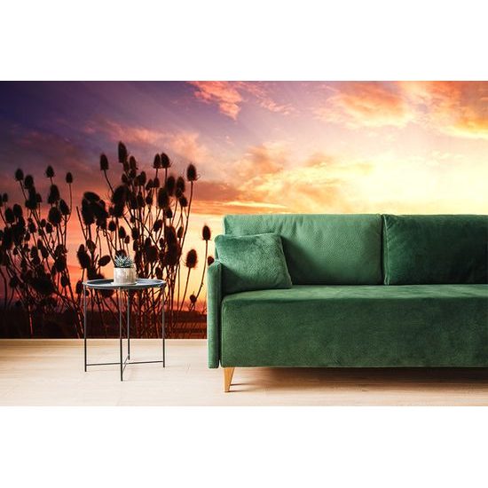 Samolepiaca fototapeta lúky pri zapadajúcom slnku