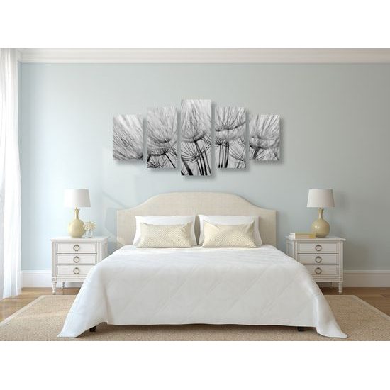 5-dielny obraz presný detail púpavy v čiernobielom prevedení