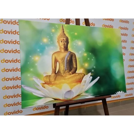 Obraz harmonický Budha