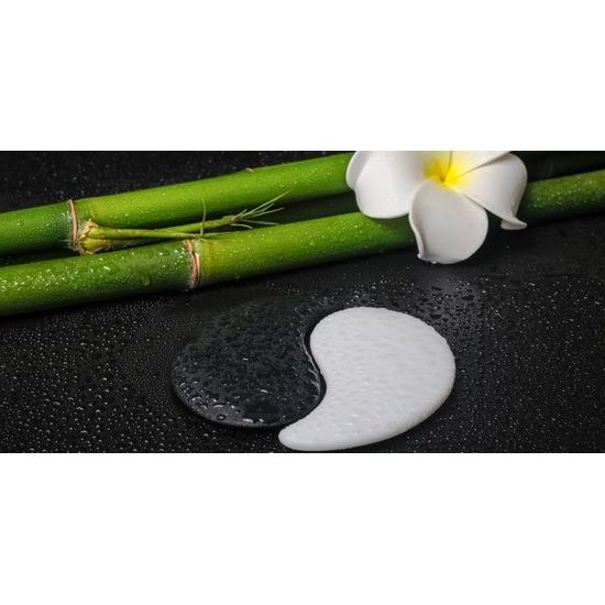 Obraz bambusové zátišie so symbolom Jin a Jang