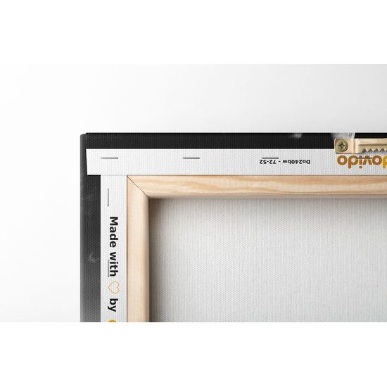 Obraz západ slnka v čiernobielom prevedení