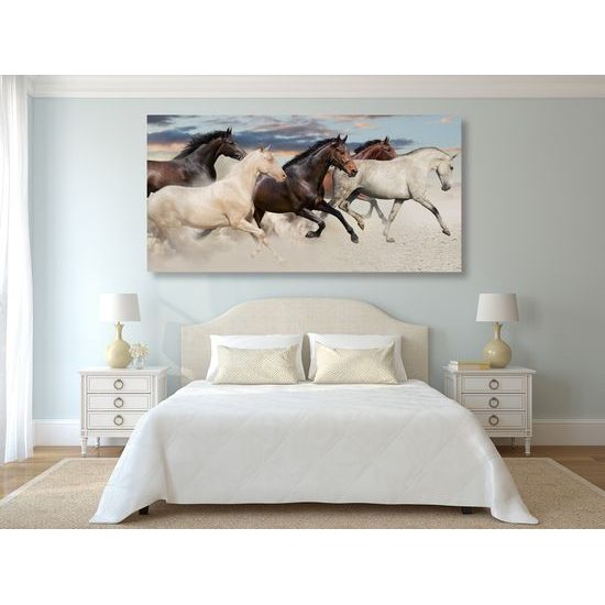 Obraz cválajúce kone
