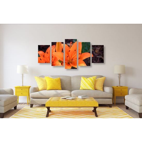 5-dielny obraz oranžová dália